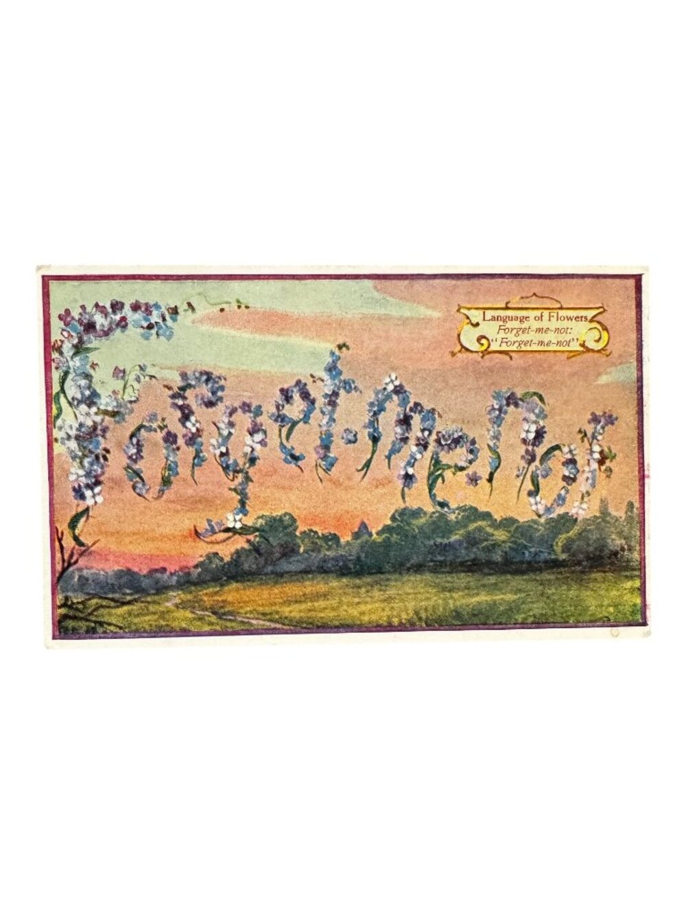 Antique "Forget-Me-Not" Language Of Flowers Postcard 1 Cent Stamp Romantic Art